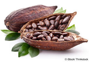 Cacao.jpg